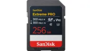 SDSDXDM-256G-GN4IN